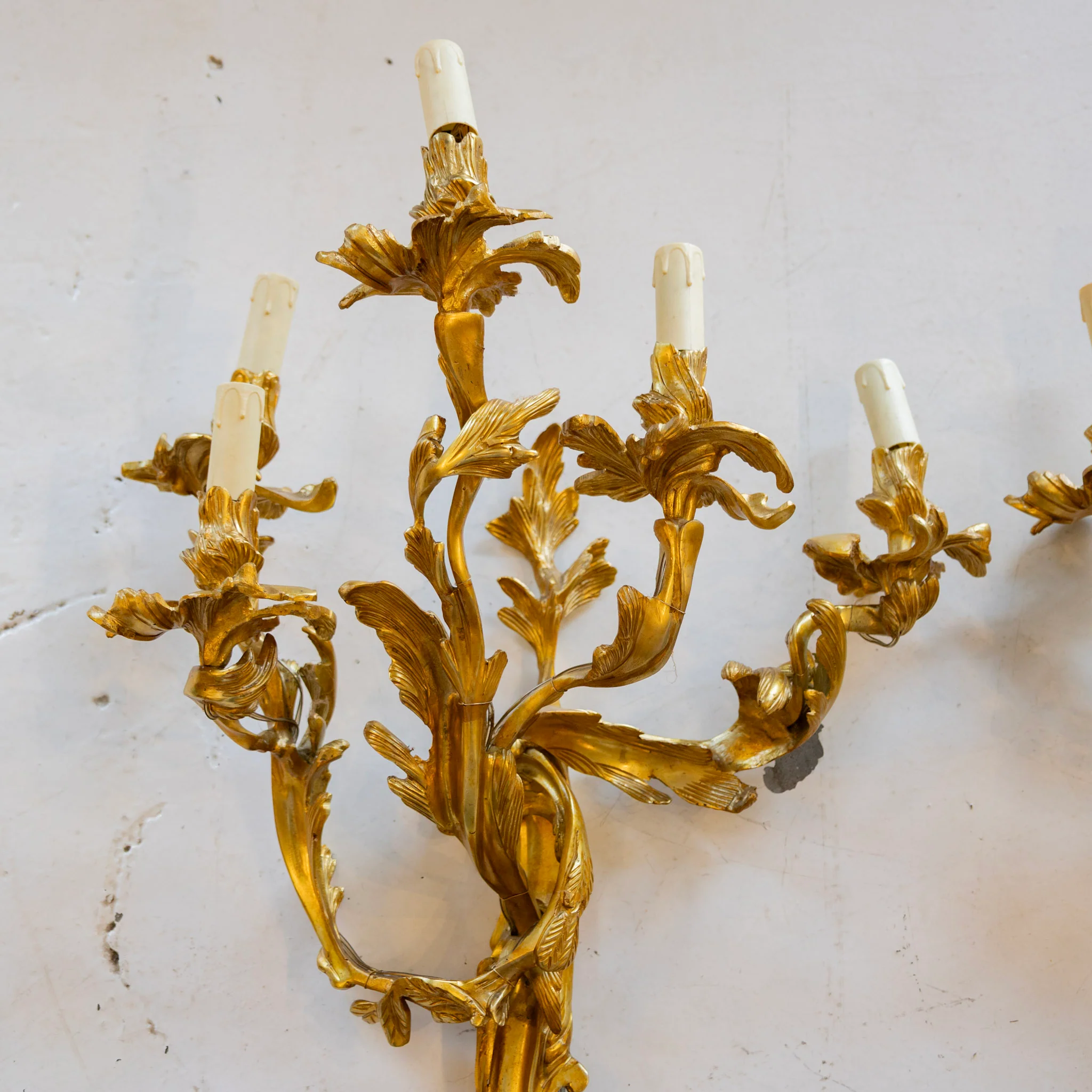 Louis XV Brass Wall Sconces – Five Light Leaf Carved Frame - Image 2