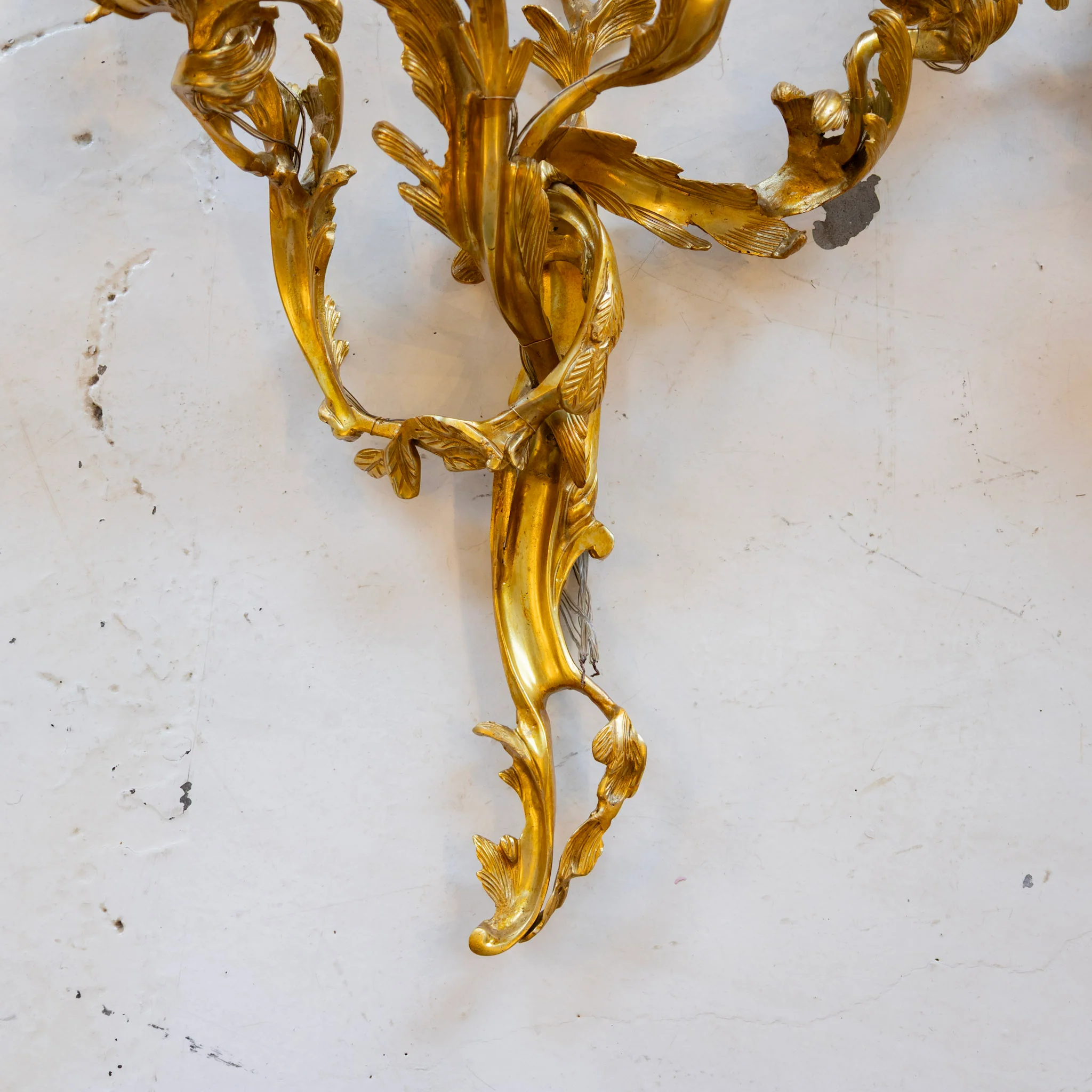 Louis XV Brass Wall Sconces – Five Light Leaf Carved Frame - Image 3