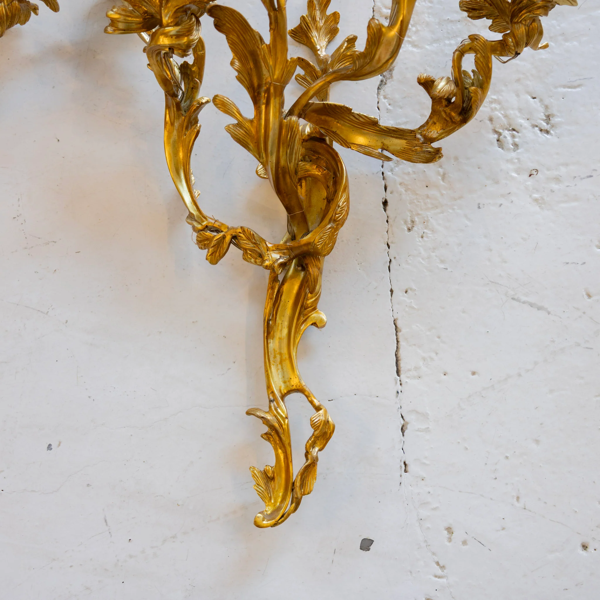 Louis XV Brass Wall Sconces – Five Light Leaf Carved Frame - Image 5