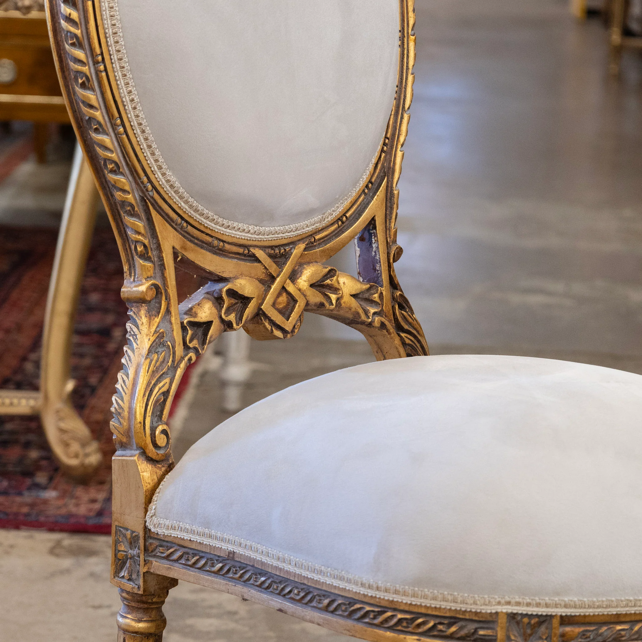Louis XVI Round Dining Chair – Soft Gray Velvet & Gilded Frame - Image 4