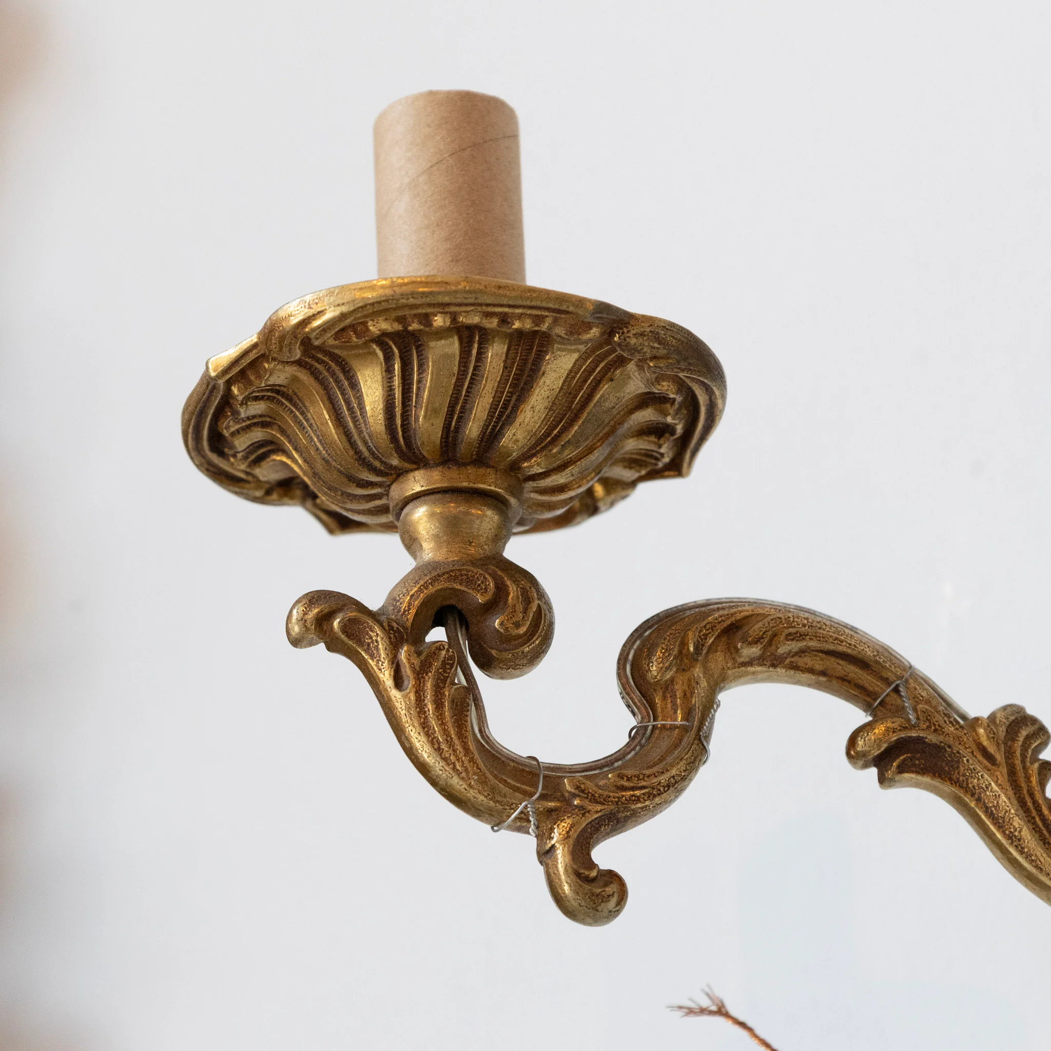 Pair of Petite Rococo Brass Sconces –  Scroll Arms - Image 4